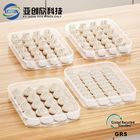 OEM Dumpling Storage Box Injection Molding With Hot Runner Cold Runner